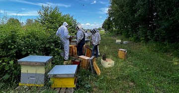 Max Cherney: Transforming beekeeping practices for the better
